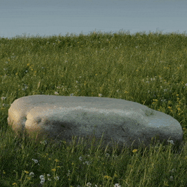 blertex grass
